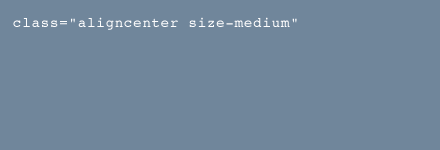 aligncenter-size-medium