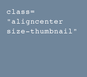 aligncenter size-thumbnail