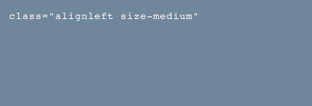 alignleft size-medium