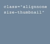 alignnone-size-thumbnail